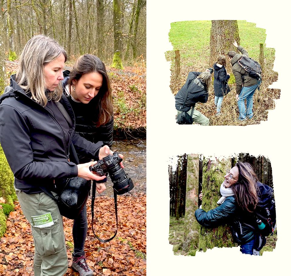 Forêts d'Ardenne - Shooting